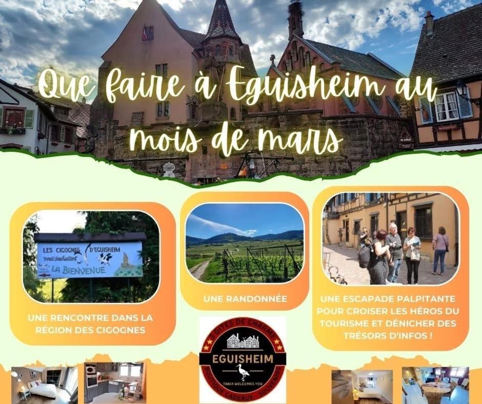 Gite St Leon A 엥기쉬하임 외부 사진